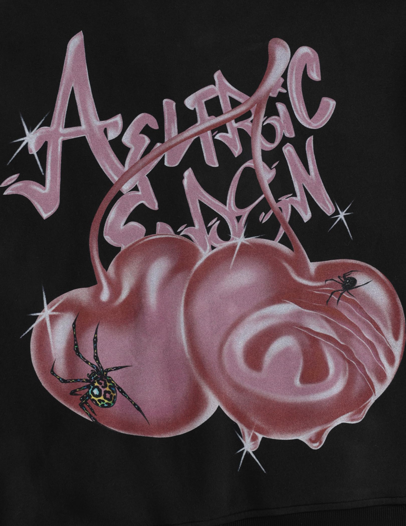 Aelfrc Eden Boxy Cherry Hoodie Y2K Graphic Hooded Sweatshirt Streetwear Zip Up Hoodies Unisex - Image 6