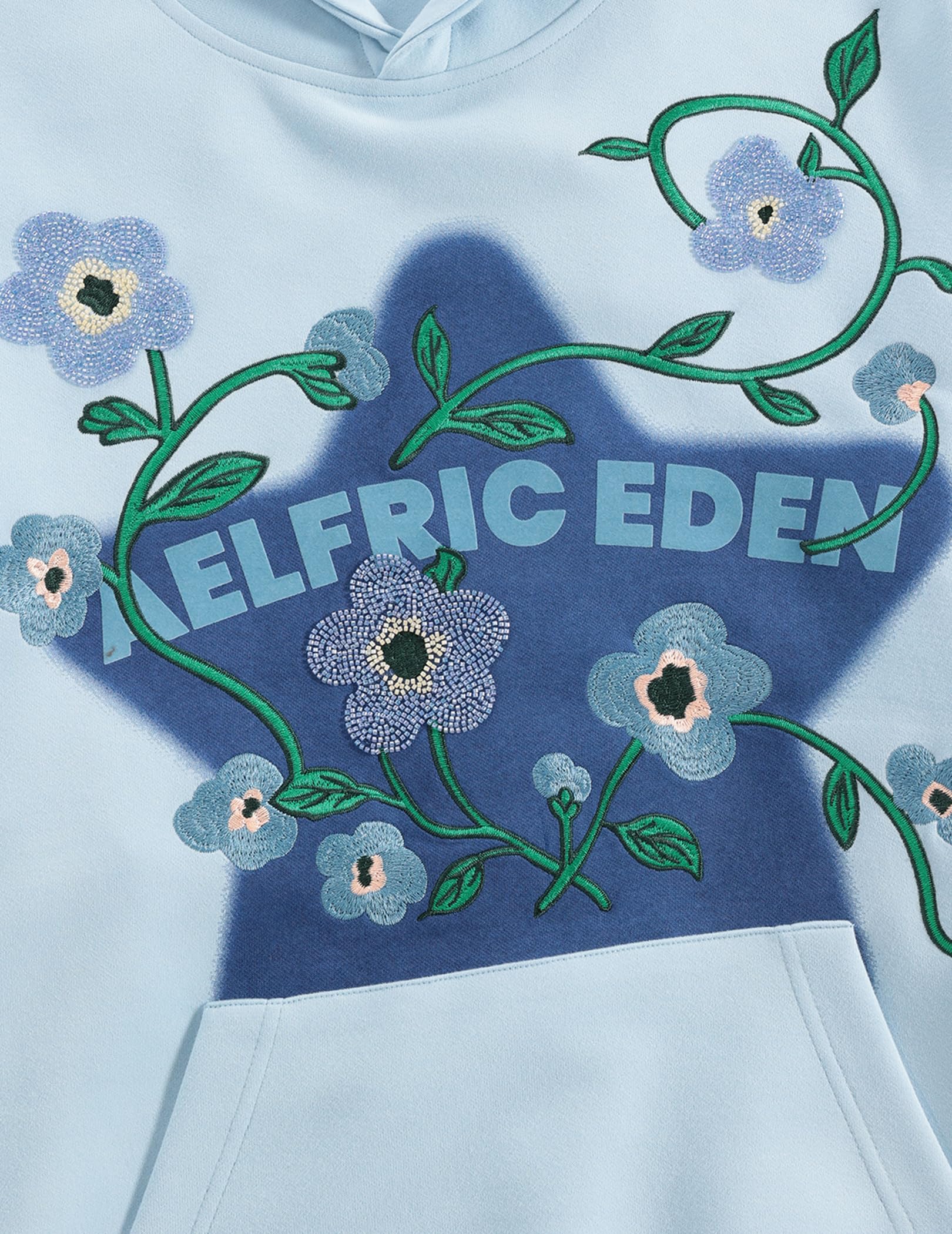 Aelfric Eden Floral Eden Star Pullover Hoodie Embroidery Graphic Hoodies Y2K Oversized Hooded Sweatshirt - Image 4