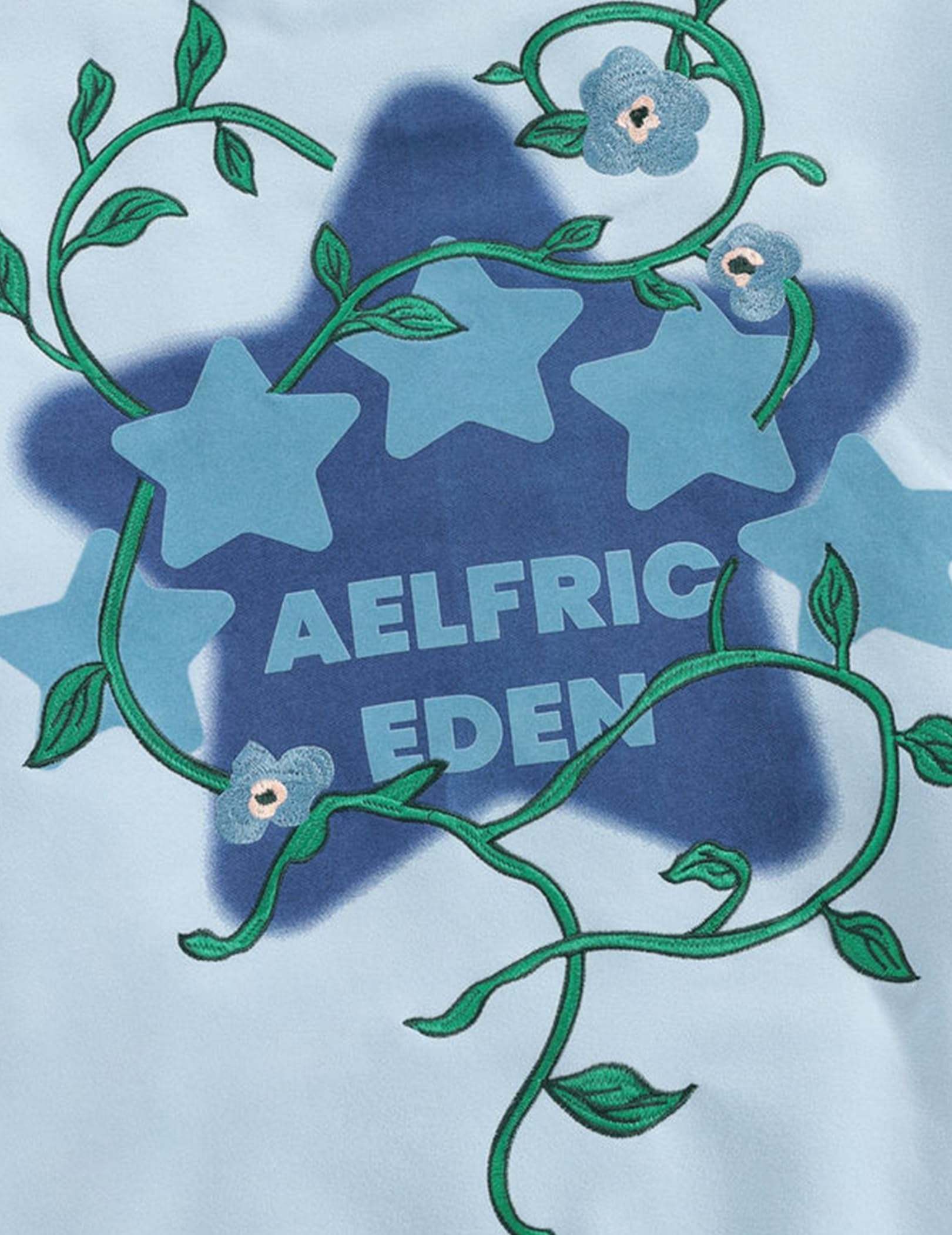 Aelfric Eden Floral Eden Star Pullover Hoodie Embroidery Graphic Hoodies Y2K Oversized Hooded Sweatshirt - Image 5